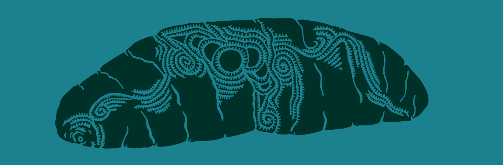 A sea cucumber or beche de mer motif