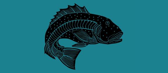 Fin fish motif drawn in a traditional style